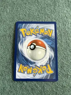 Pokemon TCG Dachsbun EX Special Illustration Rare Card 169/142 Stellar Crown - Image 2