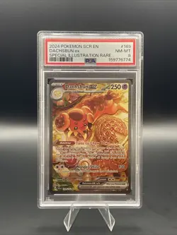 Pokemon TCG Dachsbun EX Special Illustration Rare Stellar Crown 169/142 PSA 8 - Image 1