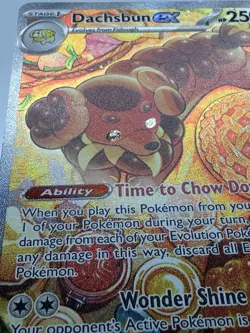 Pokemon TCG Dachsbun EX Stellar Crown 169/142 Special Illustration Rare NM - Image 4