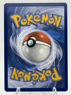 Pokemon TCG Dachsbun EX Stellar Crown 169/142 Special Illustration Rare NM - Image 5