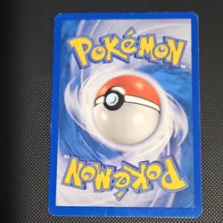 Squirtle 131/165 Expedition Base Set 2002 Common Regular e-Reader - Image 2