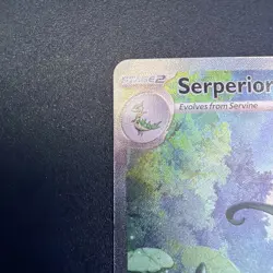 Pokemon TCG Serperior EX Full Art Special Illustration Rare Black Bolt 164/086 - Image 4