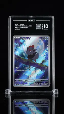Pokemon Zorua 140/086 SV11W White Flare Art Rare Holo TAG 10 Japanese 2025 - Image 1