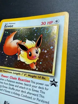 Eevee #11 Promo Black Star Vintage Pokemon Card WOTC with SWIRL - Image 3