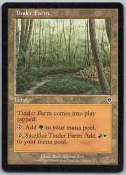 Tinder Farm 329 Invasion Normal Land Magic Card NM - Image 1