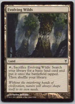 Evolving Wilds 33 Duel Decks: Sorin vs. Tibalt Normal Land Magic Card NM - Image 1