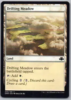 Drifting Meadow 245 Dominaria Remastered Normal Land Magic Card NM - Image 1