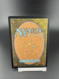 Wizards of the Coast Misty Rainforest Secret Lair Rare Land Card Regular - Image 2