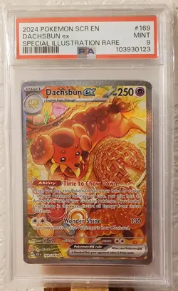 Pokemon 2024 Dachsbun ex 169/142 Special Illustration Rare Stellar Crown PSA 9 - Image 2