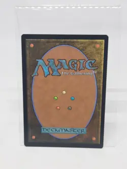 x1 Swamp DMU MTG 269/281 BASIC LAND M/NM 1x - Image 2