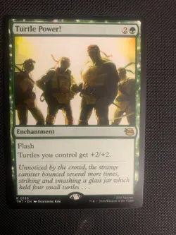 Turtle Power! Teenage Mutant Ninja Turtles Regular Magic the Gathering card - Image 1