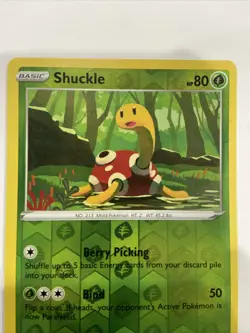 Pokemon TCG Shuckle Rebel Clash 005/192 Reverse Holo Uncommon - Image 3