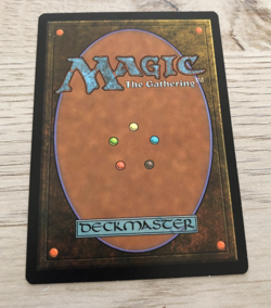 MTG Hallowed Fountain Return to Ravnica Regular - Image 2
