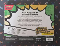 Pokemon Ascended Heroes Mega Meganium EX Box Factory Sealed - Image 2