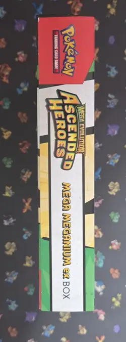 Pokemon Ascended Heroes Mega Meganium EX Box Factory Sealed - Image 3