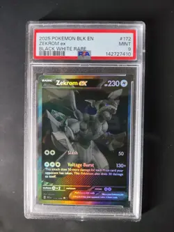 CARTA POKEMON ZEKROM EX 172/086 LUCE NERA PSA 9 GRADATA TCG CARD ITA - Image 1