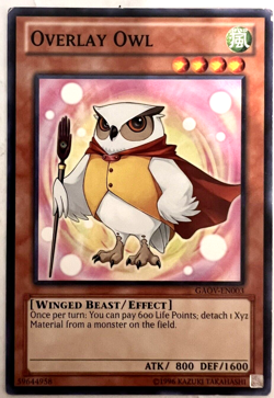 YuGiOh! - Overlay Owl - Common - Image 1