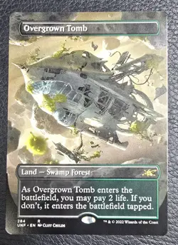 Overgrown Tomb (Borderless) Unfinity Regular MTG NM Magic Card - Image 1
