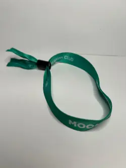 Disney Vacation Club Member DVC Moonlight Magic Green Wristband New - Image 2
