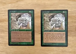 VTG MTG Fungusaur Chinese Lot Of 2 FBB 4th Edition Regular Daniel Gelon - Image 1