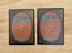 VTG MTG Fungusaur Chinese Lot Of 2 FBB 4th Edition Regular Daniel Gelon - Image 2