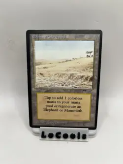 Magic The Gathering MTG Elephant Graveyard 1993 Arabian Nights MP - Image 1