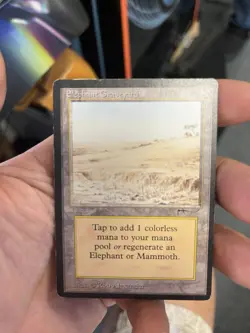 Magic The Gathering MTG Elephant Graveyard 1993 Arabian Nights MP - Image 3