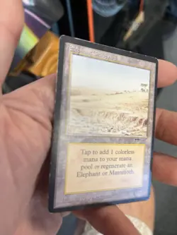 Magic The Gathering MTG Elephant Graveyard 1993 Arabian Nights MP - Image 4