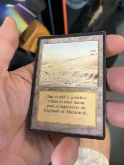 Magic The Gathering MTG Elephant Graveyard 1993 Arabian Nights MP - Image 5