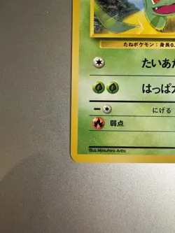 Bulbasaur Intro Deck 1 Japanese Pokemon Card NM - Image 5