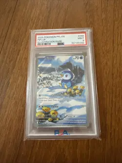2025 Pokemon Phantasmal Flames Piplup Illustration Rare #098 PSA 9 - Image 2