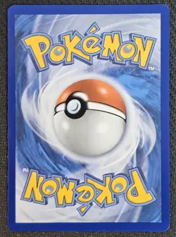 Mega Camerupt ex 022/132 Double Rare Pokemon TCG ME01: Mega Evolution NM - Image 2
