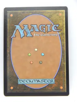Magic the Gathering TCG - Standard Showdown Foil 0005 - FOREST - Image 2