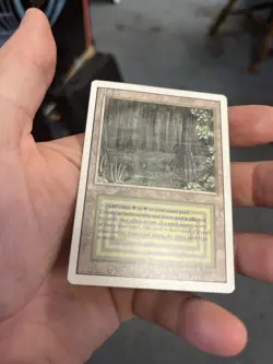 MTG Bayou Revised Edition Regular Rare Dual Land - Image 5