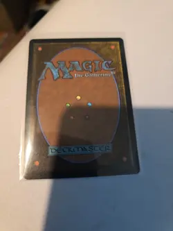 MTG Spider-Punk Showcase Borderless Full Art Marvel's Spider-Man Ships Next Day - Image 2