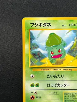 [NM] Bulbasaur Pokemon Card Japanese No.001 Bulbasaur Deck Vintage 16A36 - Image 4