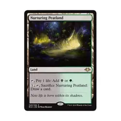 WOTC MtG Modern Horizons Nurturing Peatland (R) NM - Image 1