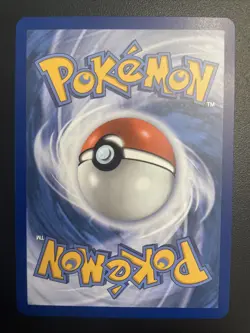 Forest Of Vitality 109/088 Full Art NM Perfect Order English Pokemon - NM - Image 2