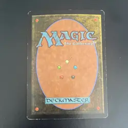 Wizards of the Coast Undiscovered Paradise Visions Regular Rare Land EN 1996 - Image 2