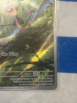 Chespin 087/086 Illustration Rare Pokemon TCG Chaos Rising NM Pokemon - Image 5