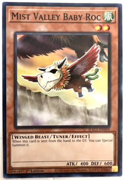 YuGiOh! - Mist Valley Baby Roc - Common - Image 1