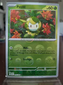 Petilil (Poke Ball Pattern) 006/086 SV: Black Bolt Holo Common Pokemon TCG NM - Image 1