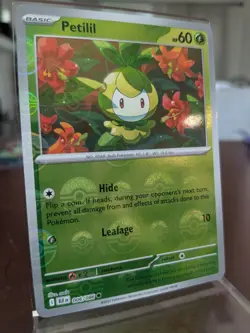 Petilil (Poke Ball Pattern) 006/086 SV: Black Bolt Holo Common Pokemon TCG NM - Image 3