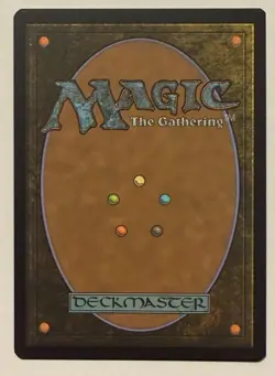 Coat of Arms Borderless Rainbow Foil - Secret Lair MTG - Image 2