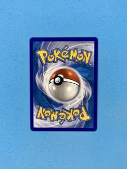 Pokemon First Partner Series 2 Johto Starter Set Chikorita Cyndaquil Totodile NM - Image 3