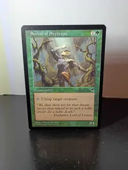 MTG Seeker of Skybreak Tempest 254/350 Regular Common - Image 1