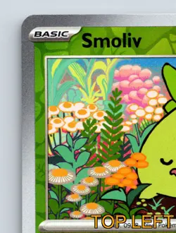 Basic Smoliv HP 50 Absorb Attack Green Colorful Olive Pokemon Card - Image 3