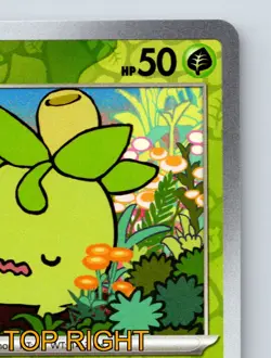 Basic Smoliv HP 50 Absorb Attack Green Colorful Olive Pokemon Card - Image 4
