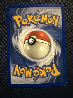Mudkip Black Star Promo 010 Reverse Holo - Image 2
