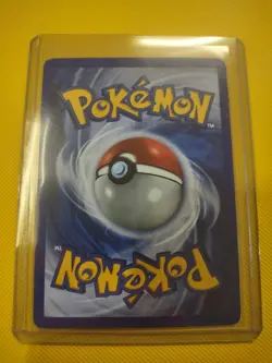 Bidoof 011/017 Pop Series 6 Regular Pokemon MJ Lp - Image 2